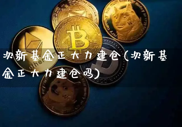次新基金正大力建仓(次新基金正大力建仓吗)_https://www.cangshenghg.com_A股_第1张