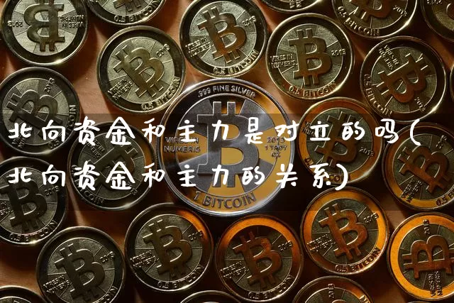 北向资金和主力是对立的吗(北向资金和主力的关系)_https://www.cangshenghg.com_财经新闻_第1张