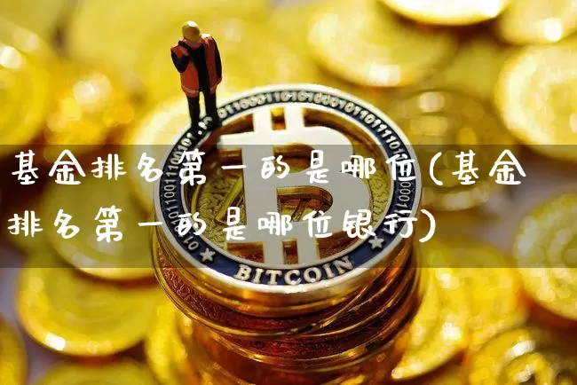 基金排名第一的是哪位(基金排名第一的是哪位银行)_https://www.cangshenghg.com_北交所_第1张