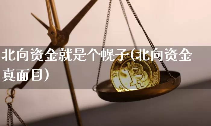 北向资金就是个幌子(北向资金真面目)_https://www.cangshenghg.com_创业板_第1张