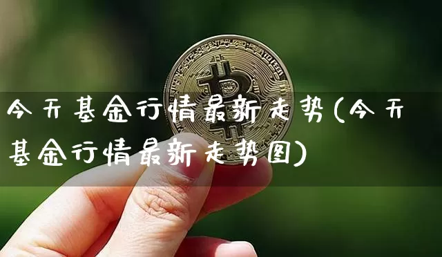 今天基金行情最新走势(今天基金行情最新走势图)_https://www.cangshenghg.com_科创板_第1张