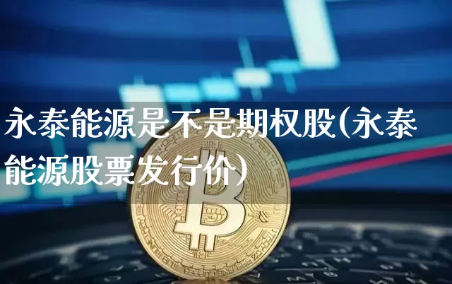 永泰能源是不是期权股(永泰能源股票发行价)_https://www.cangshenghg.com_北交所_第1张