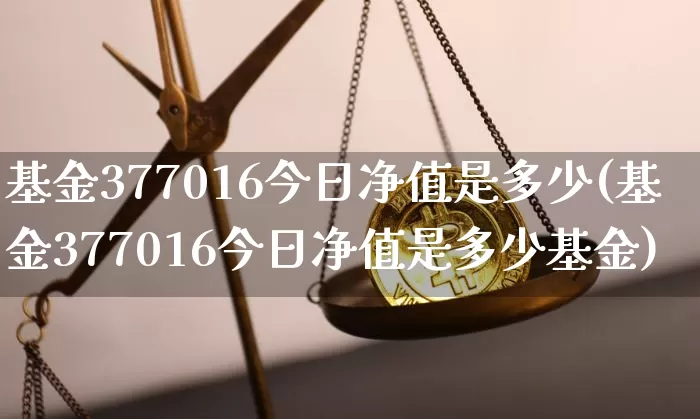 基金377016今日净值是多少(基金377016今日净值是多少基金)_https://www.cangshenghg.com_北交所_第1张