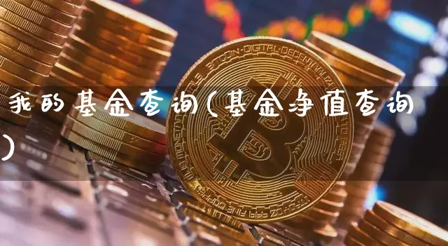 我的基金查询(基金净值查询)_https://www.cangshenghg.com_创业板_第1张