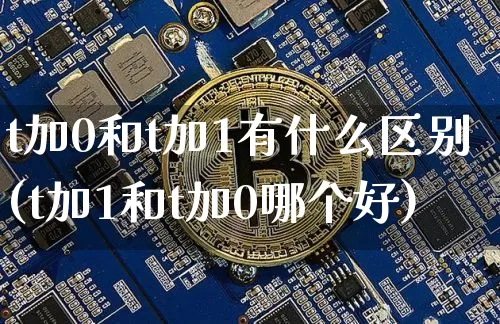 t加0和t加1有什么区别(t加1和t加0哪个好)_https://www.cangshenghg.com_北交所_第1张