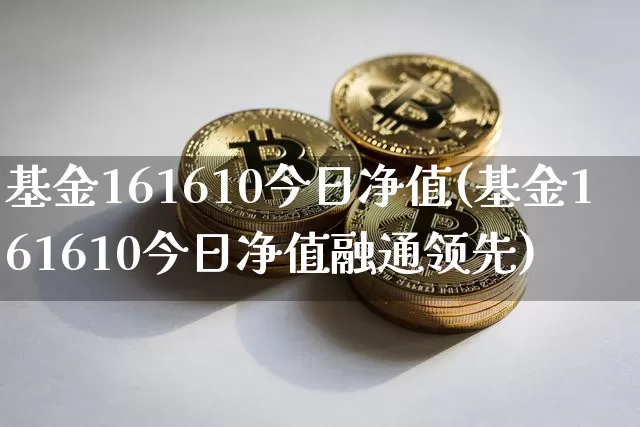 基金161610今日净值(基金161610今日净值融通领先)_https://www.cangshenghg.com_北交所_第1张