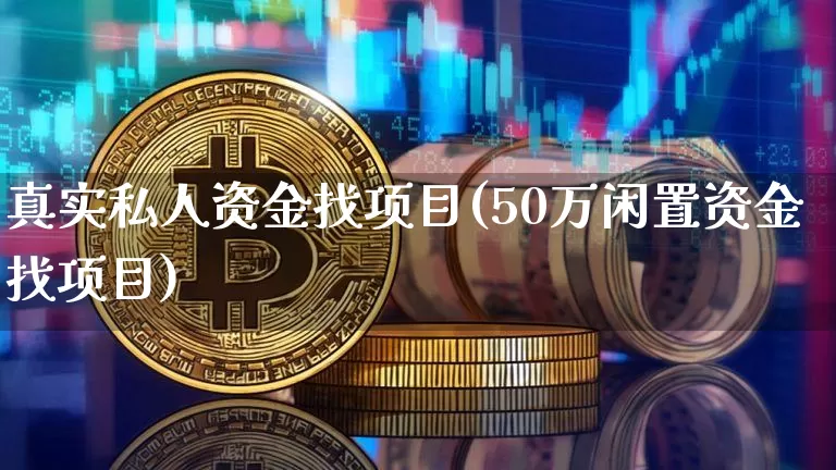 真实私人资金找项目(50万闲置资金找项目)_https://www.cangshenghg.com_北交所_第1张