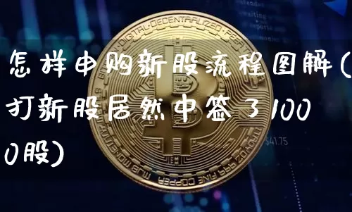 怎样申购新股流程图解(打新股居然中签了1000股)_https://www.cangshenghg.com_财经新闻_第1张