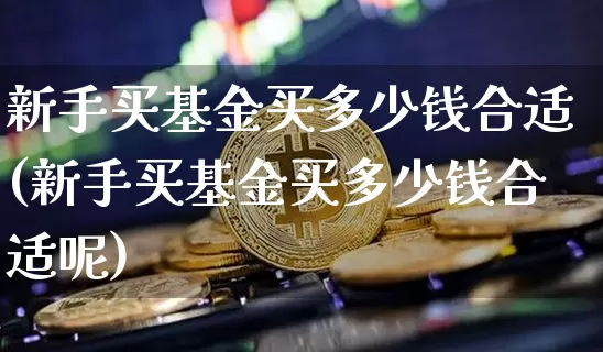 新手买基金买多少钱合适(新手买基金买多少钱合适呢)_https://www.cangshenghg.com_创业板_第1张