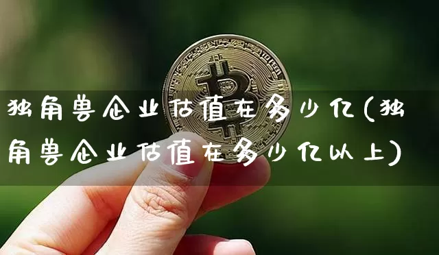 独角兽企业估值在多少亿(独角兽企业估值在多少亿以上)_https://www.cangshenghg.com_A股_第1张