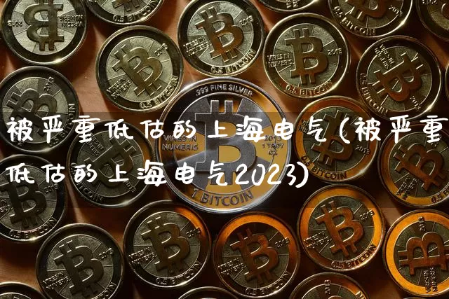 被严重低估的上海电气(被严重低估的上海电气2023)_https://www.cangshenghg.com_创业板_第1张