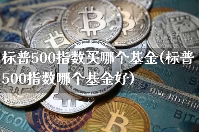 标普500指数买哪个基金(标普500指数哪个基金好)_https://www.cangshenghg.com_科创板_第1张