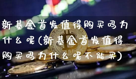新基金首发值得购买吗为什么呢(新基金首发值得购买吗为什么呢不能买)_https://www.cangshenghg.com_北交所_第1张