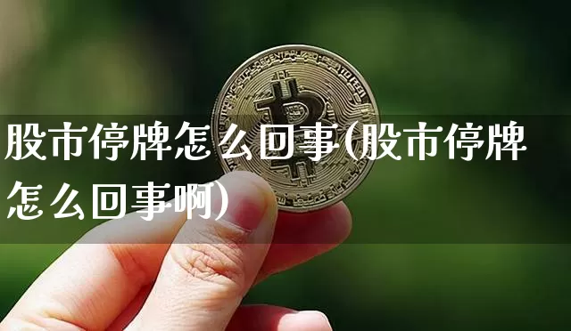 股市停牌怎么回事(股市停牌怎么回事啊)_https://www.cangshenghg.com_创业板_第1张