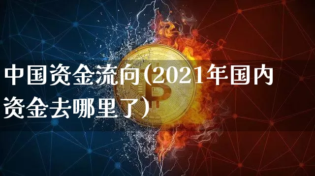 中国资金流向(2021年国内资金去哪里了)_https://www.cangshenghg.com_北交所_第1张