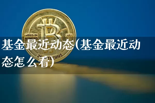 基金最近动态(基金最近动态怎么看)_https://www.cangshenghg.com_北交所_第1张