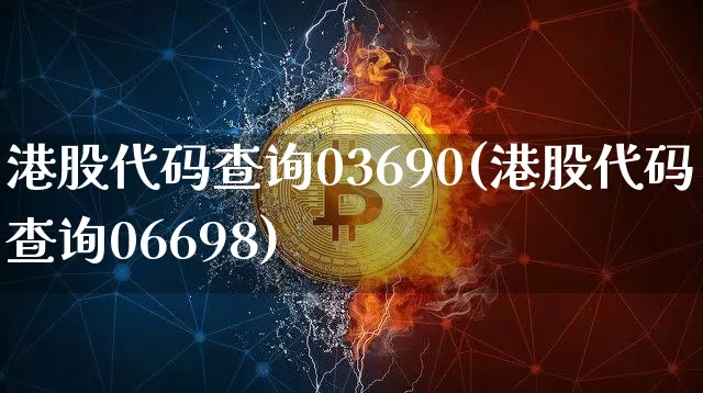 港股代码查询03690(港股代码查询06698)_https://www.cangshenghg.com_北交所_第1张