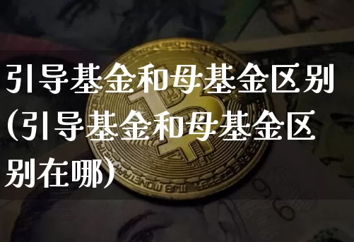 引导基金和母基金区别(引导基金和母基金区别在哪)_https://www.cangshenghg.com_科创板_第1张