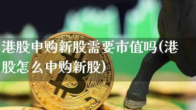 港股申购新股需要市值吗(港股怎么申购新股)_https://www.cangshenghg.com_北交所_第1张