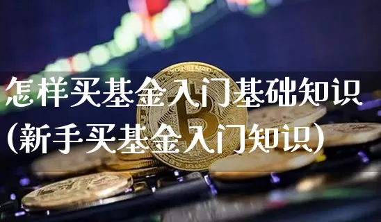 怎样买基金入门基础知识(新手买基金入门知识)_https://www.cangshenghg.com_创业板_第1张