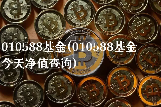 010588基金(010588基金今天净值查询)_https://www.cangshenghg.com_科创板_第1张