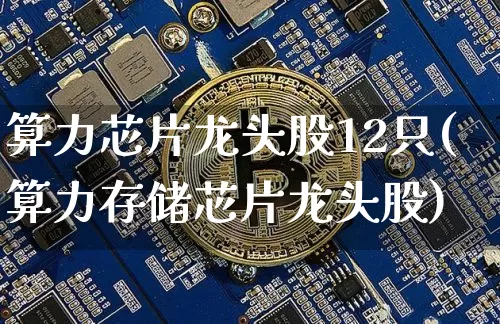 算力芯片龙头股12只(算力存储芯片龙头股)_https://www.cangshenghg.com_创业板_第1张