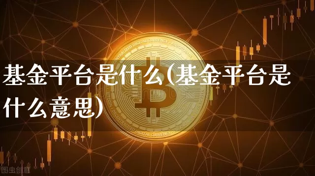 基金平台是什么(基金平台是什么意思)_https://www.cangshenghg.com_科创板_第1张