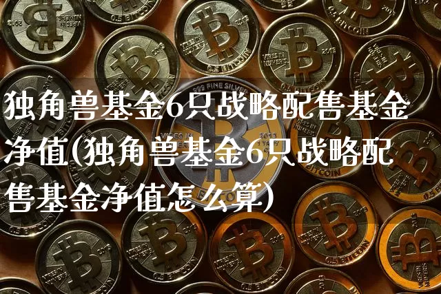 独角兽基金6只战略配售基金净值(独角兽基金6只战略配售基金净值怎么算)_https://www.cangshenghg.com_创业板_第1张