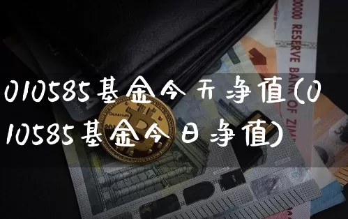 010585基金今天净值(010585基金今日净值)_https://www.cangshenghg.com_北交所_第1张
