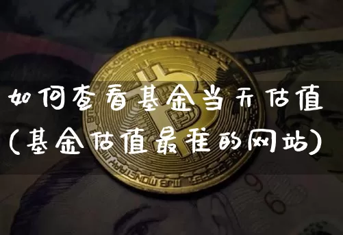 如何查看基金当天估值(基金估值最准的网站)_https://www.cangshenghg.com_科创板_第1张