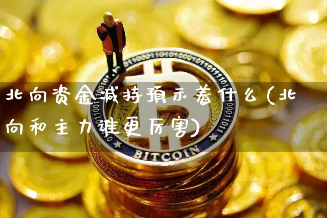 北向资金减持预示着什么(北向和主力谁更厉害)_https://www.cangshenghg.com_科创板_第1张