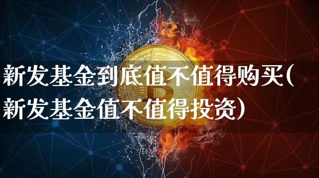 新发基金到底值不值得购买(新发基金值不值得投资)_https://www.cangshenghg.com_创业板_第1张
