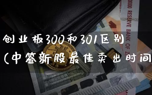 创业板300和301区别(中签新股最佳卖出时间)_https://www.cangshenghg.com_北交所_第1张