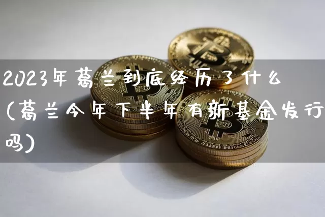 2023年葛兰到底经历了什么(葛兰今年下半年有新基金发行吗)_https://www.cangshenghg.com_创业板_第1张