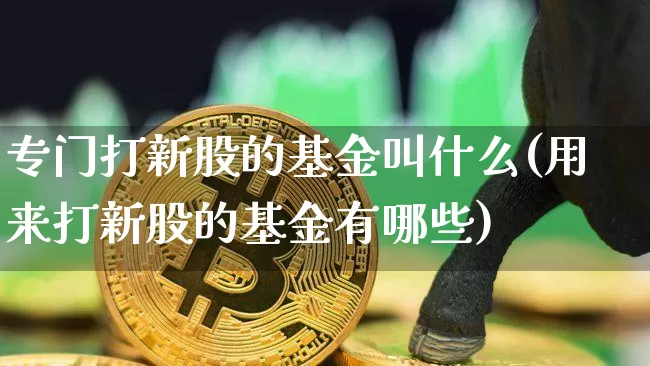 专门打新股的基金叫什么(用来打新股的基金有哪些)_https://www.cangshenghg.com_创业板_第1张