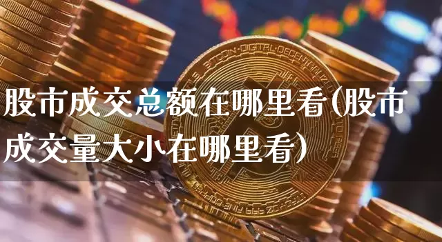 股市成交总额在哪里看(股市成交量大小在哪里看)_https://www.cangshenghg.com_科创板_第1张
