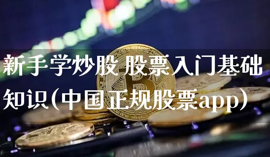 新手学炒股 股票入门基础知识(中国正规股票app)_https://www.cangshenghg.com_A股_第1张