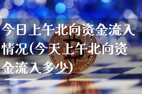 今日上午北向资金流入情况(今天上午北向资金流入多少)_https://www.cangshenghg.com_北交所_第1张