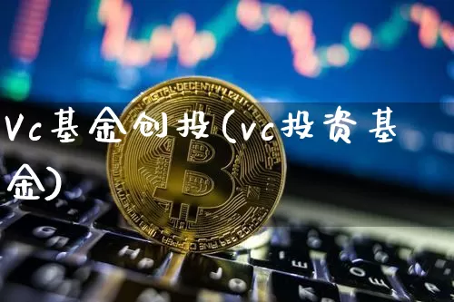 Vc基金创投(vc投资基金)_https://www.cangshenghg.com_财经新闻_第1张