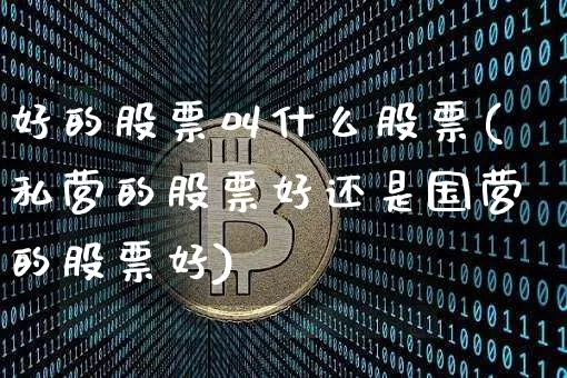 好的股票叫什么股票(私营的股票好还是国营的股票好)_https://www.cangshenghg.com_创业板_第1张