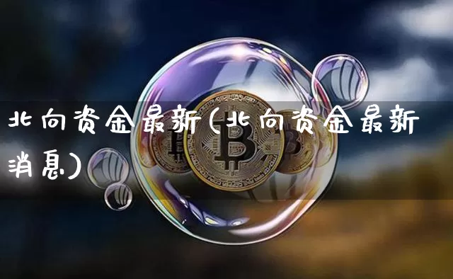 北向资金最新(北向资金最新消息)_https://www.cangshenghg.com_创业板_第1张