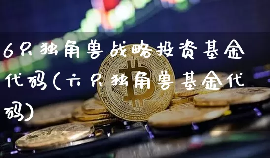 6只独角兽战略投资基金代码(六只独角兽基金代码)_https://www.cangshenghg.com_北交所_第1张