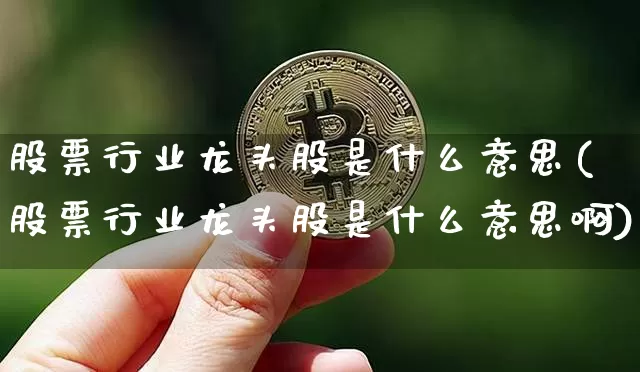 股票行业龙头股是什么意思(股票行业龙头股是什么意思啊)_https://www.cangshenghg.com_财经新闻_第1张