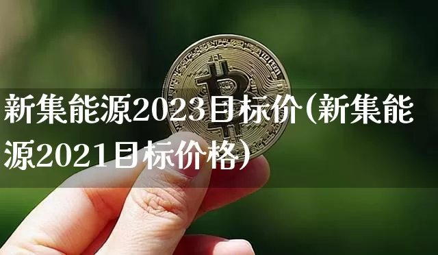 新集能源2023目标价(新集能源2021目标价格)_https://www.cangshenghg.com_科创板_第1张