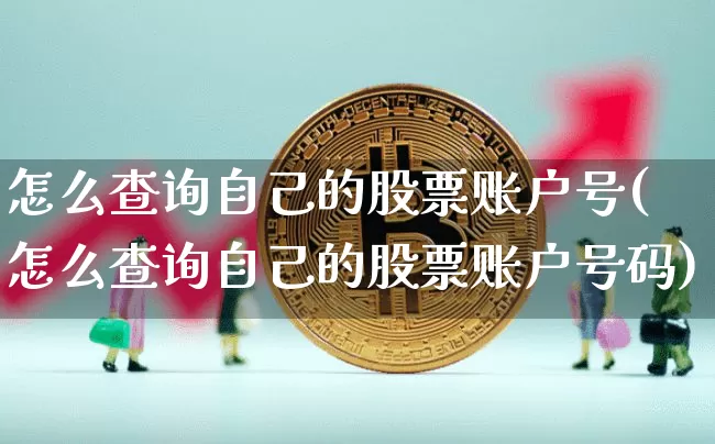 怎么查询自己的股票账户号(怎么查询自己的股票账户号码)_https://www.cangshenghg.com_创业板_第1张