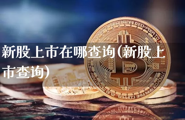 新股上市在哪查询(新股上市查询)_https://www.cangshenghg.com_科创板_第1张