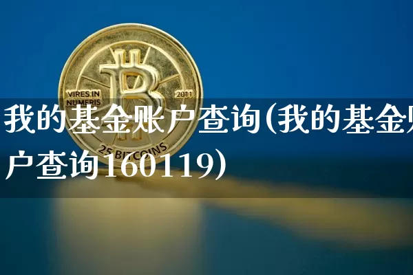 我的基金账户查询(我的基金账户查询160119)_https://www.cangshenghg.com_A股_第1张