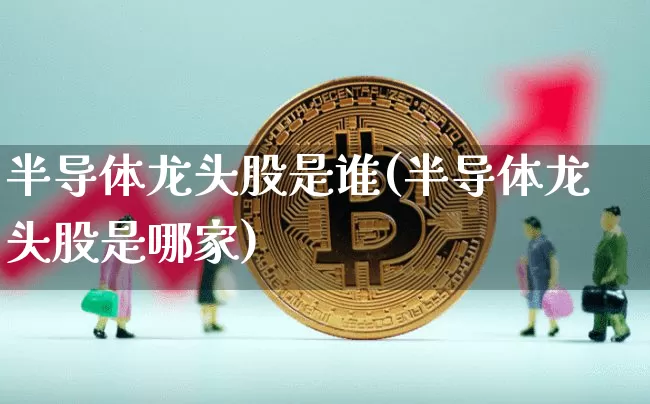半导体龙头股是谁(半导体龙头股是哪家)_https://www.cangshenghg.com_财经新闻_第1张