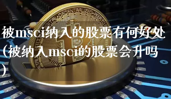 被msci纳入的股票有何好处(被纳入msci的股票会升吗)_https://www.cangshenghg.com_A股_第1张