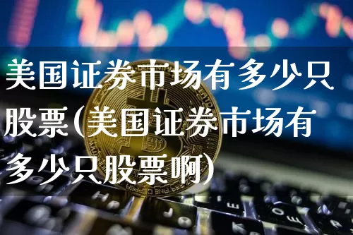 美国证券市场有多少只股票(美国证券市场有多少只股票啊)_https://www.cangshenghg.com_创业板_第1张